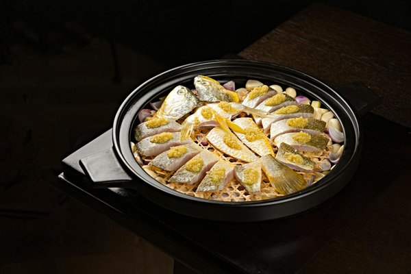 How to Manage a Multi-Pet Household with Different Species?